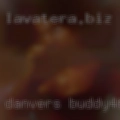 Danvers, buddy