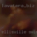 Ellisville swingers