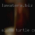 Sluts Turtle Creek