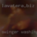 Swinger Washington