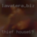 Thief house